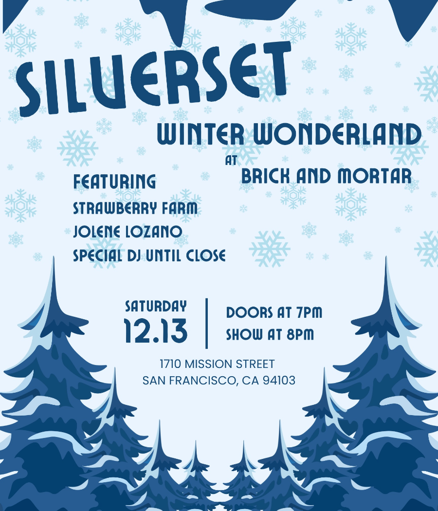 Silverset Winter Wonderland 1
