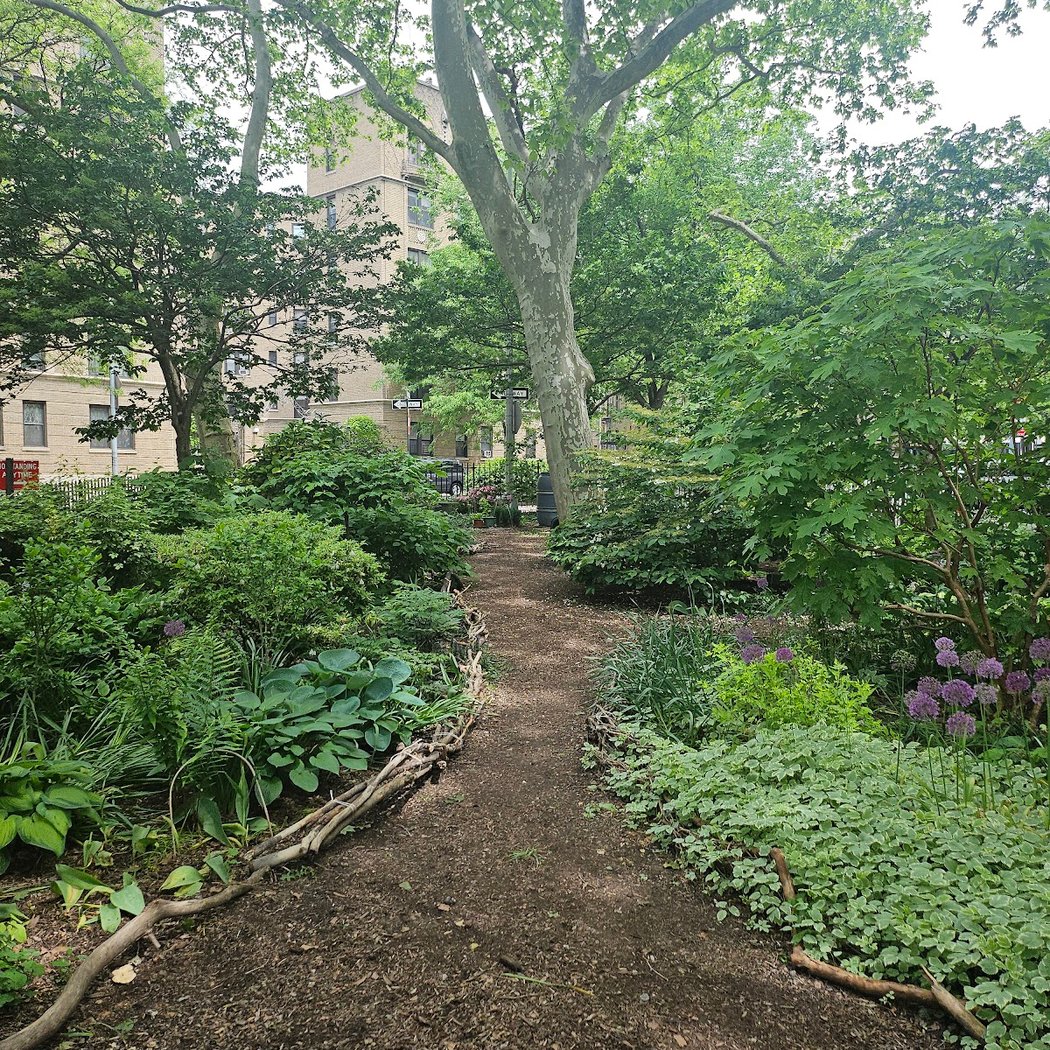 Riverside Oval 2