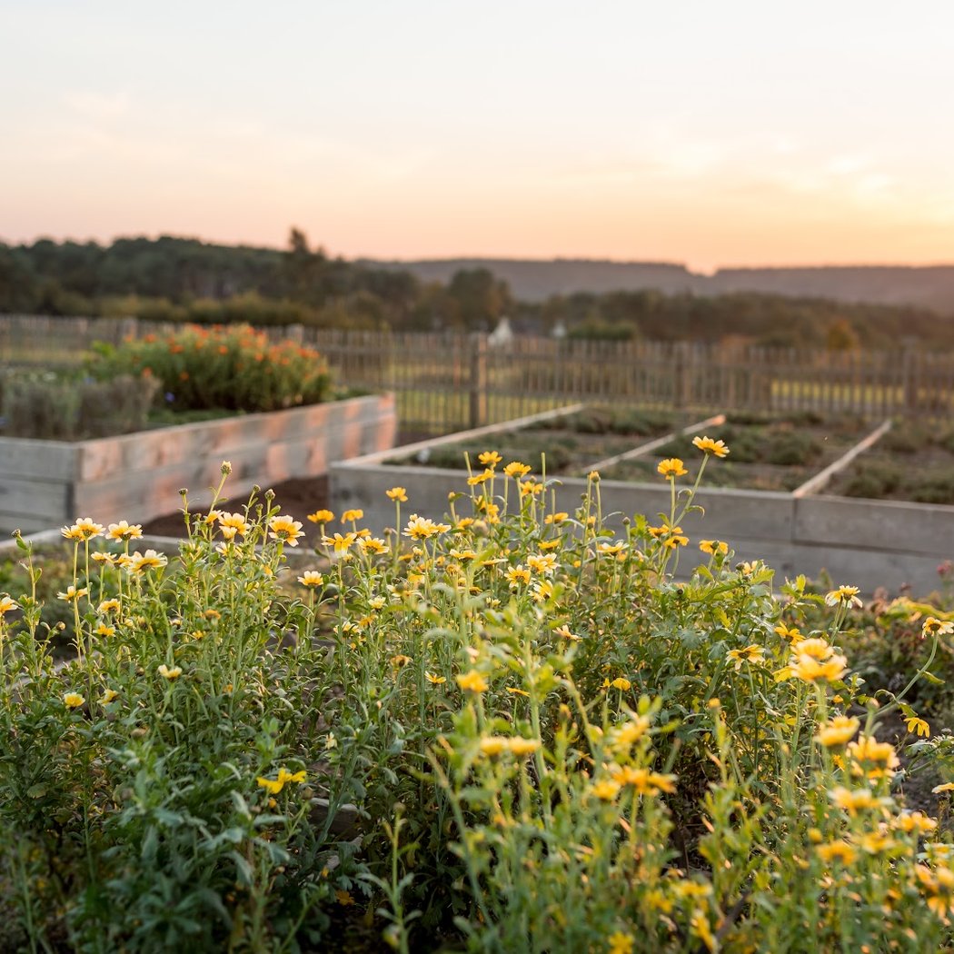 Les Jardins Sauvages 3
