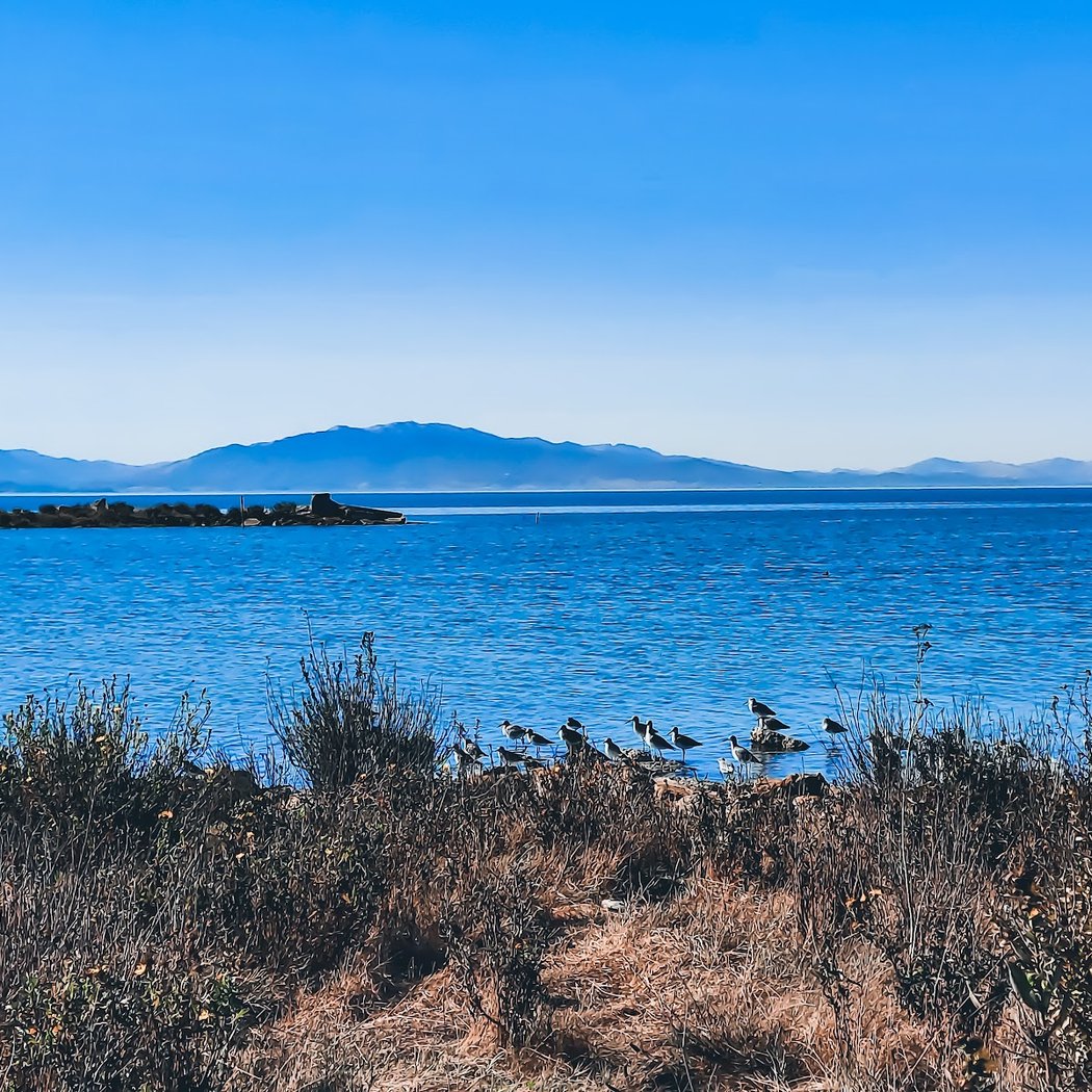 Point Pinole Regional Park - Dotson Family Marsh 1