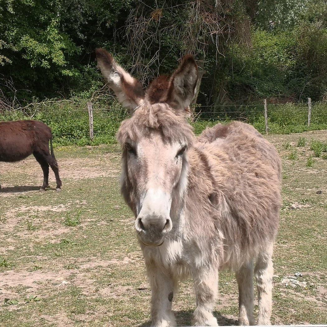 Malowe Nature, la ferme pédagogique 2