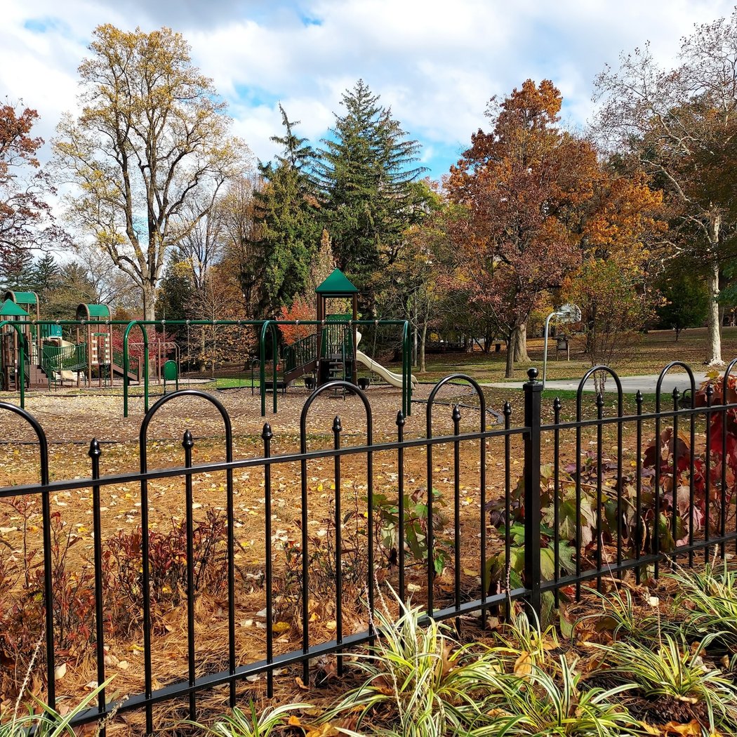 Rescue Dogs 3