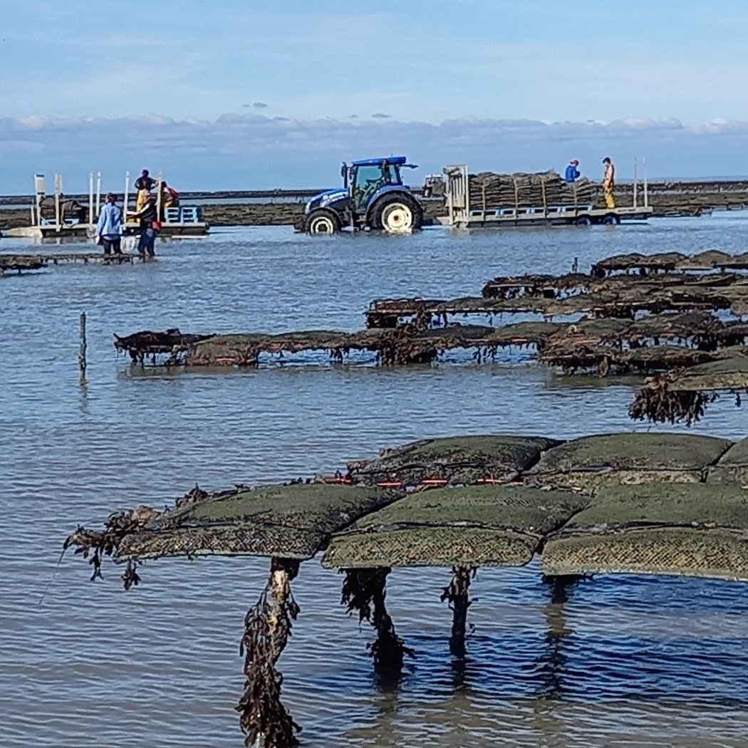 Blainville-sur-Mer 3