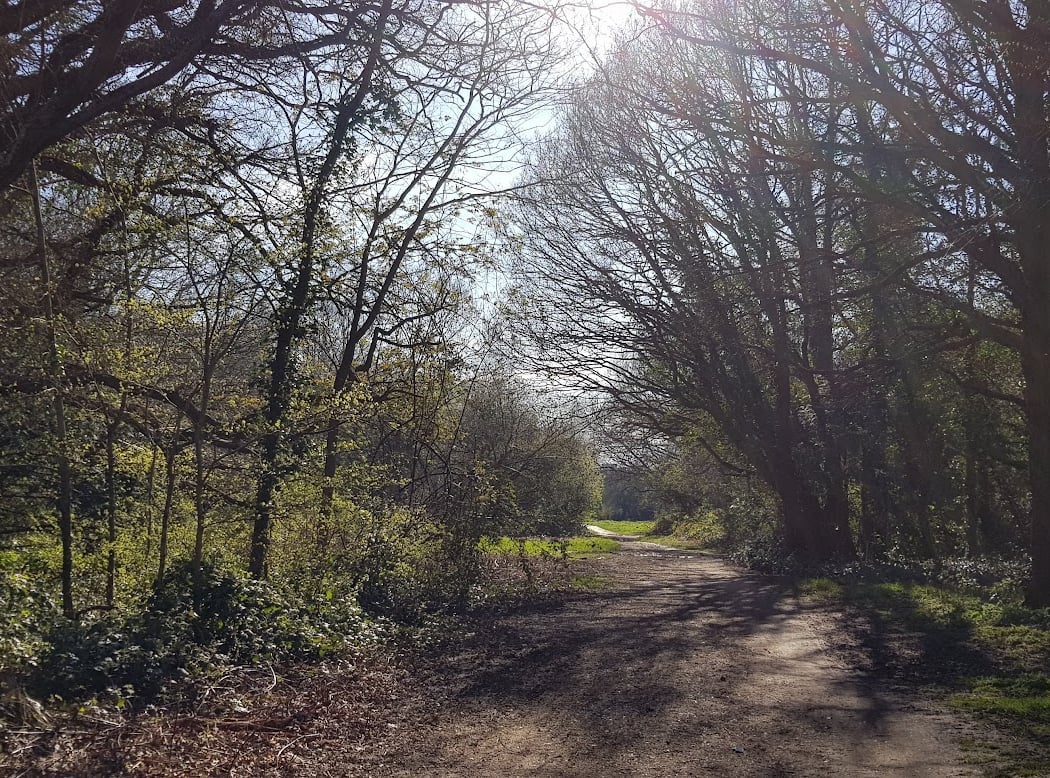 Putney Heath 3