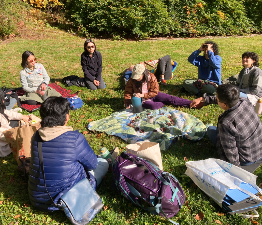 Nature Therapy & Forest Bathing 3