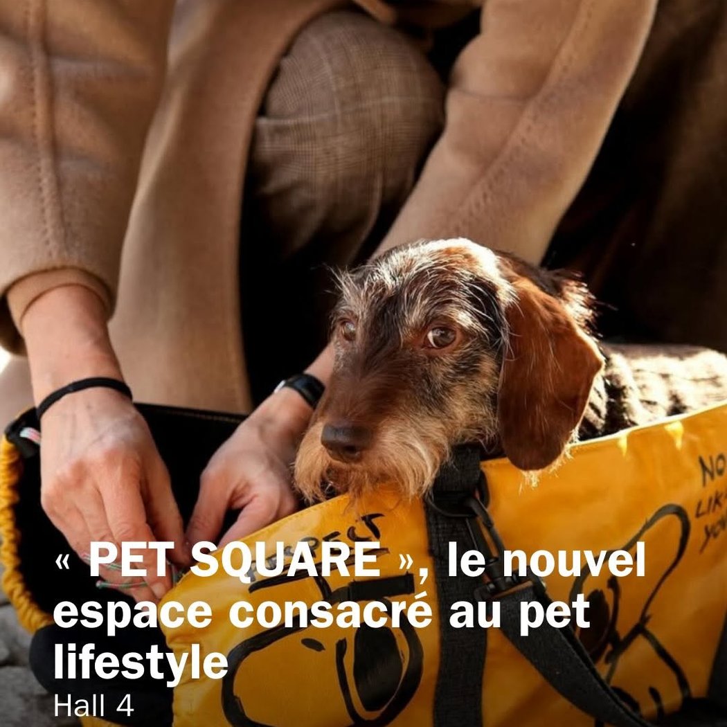 PET SQUARE 1