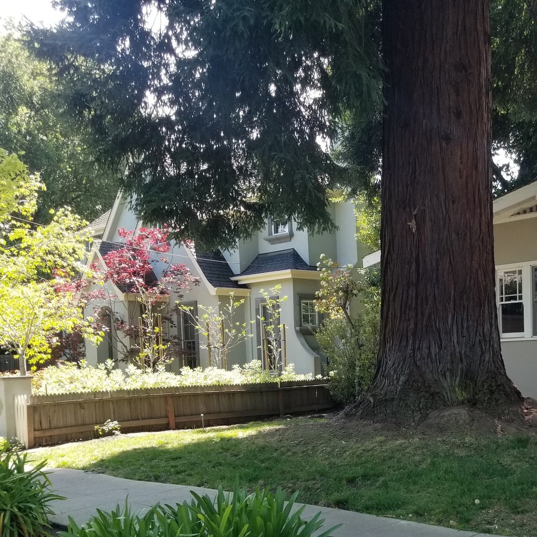 Palo Alto 2