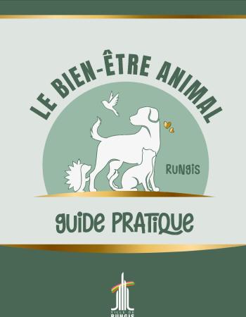 QUATRE PATTES 1