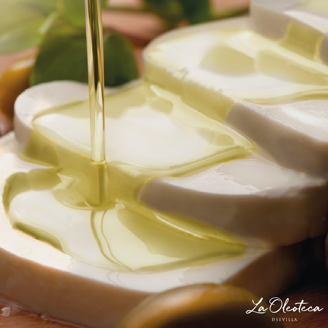 La Oleoteca de Sevilla. Catas de Aceite 1