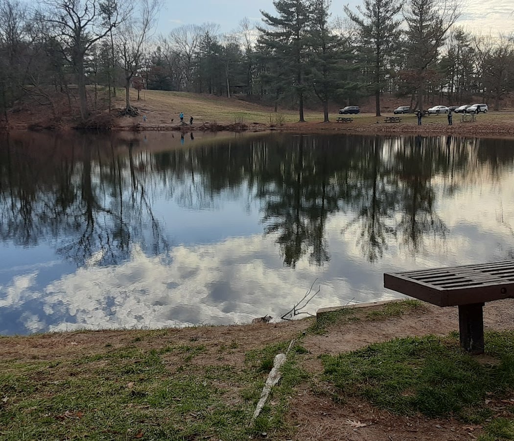 Wharton Brook State Park 2