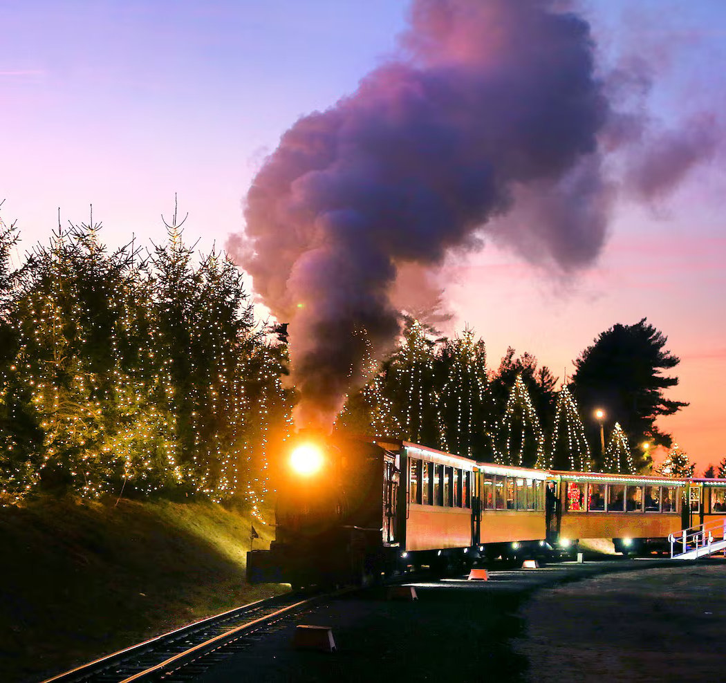 Edaville Train & Festival of Lights 1