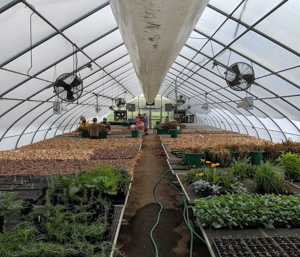 Composting 101: Compost Like a Pro 2