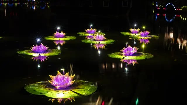 Water Lilies – Light Installation