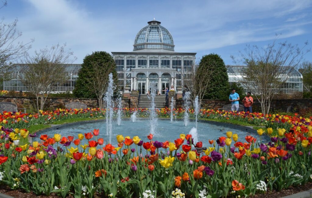 Lewis Ginter Botanical Garden 3