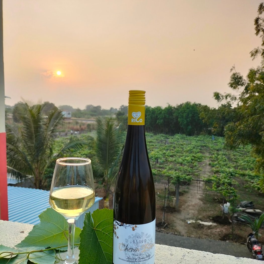 Rico Wine Park & Vineyards 1