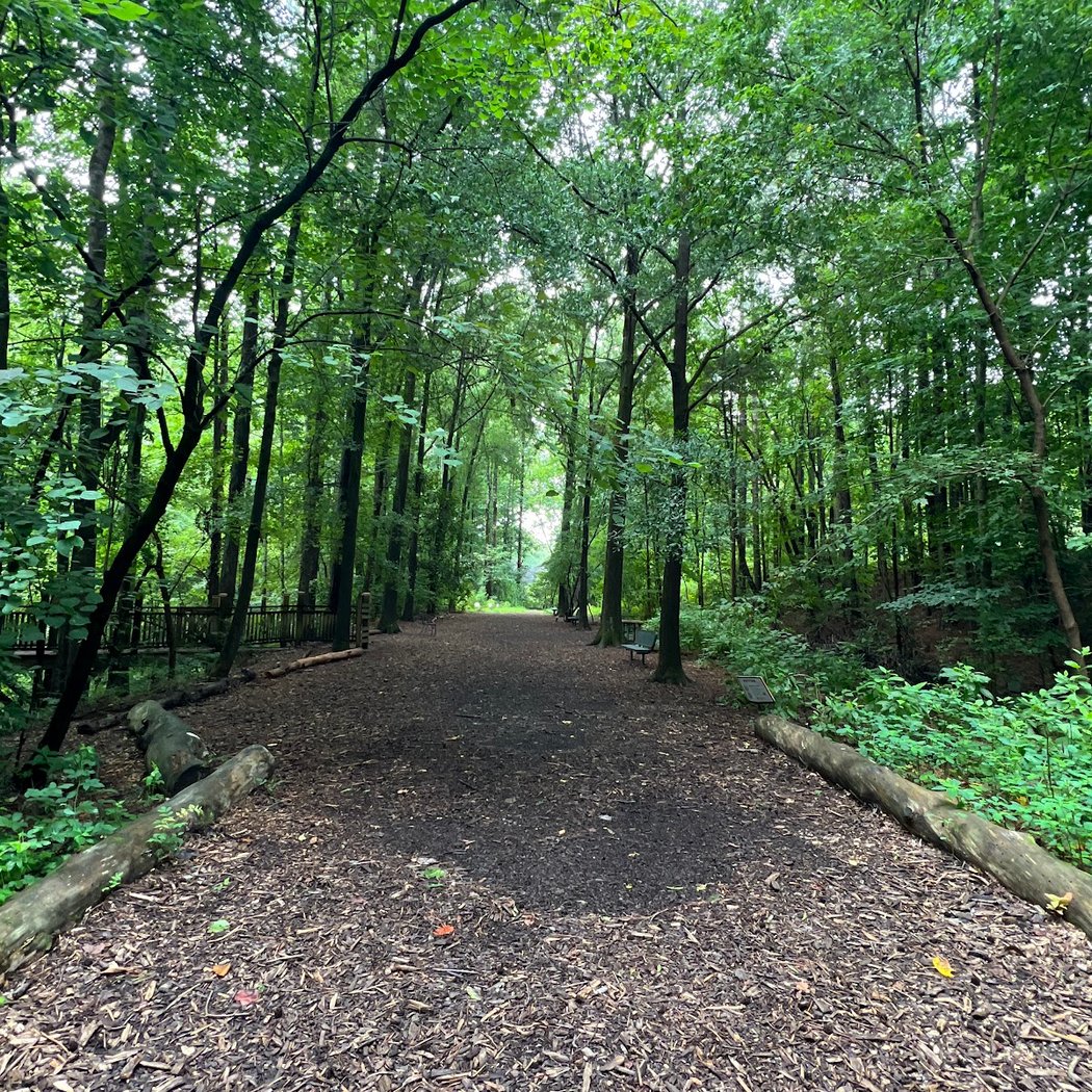 Friday Night Hike 3