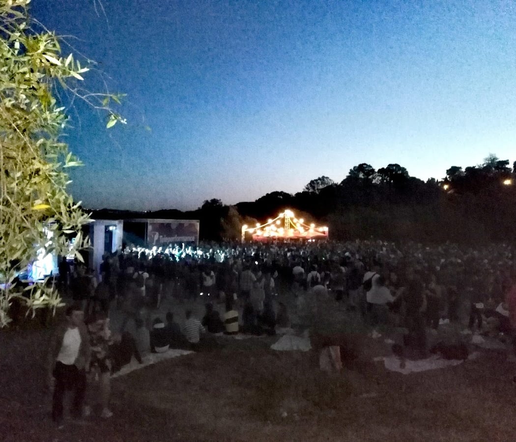 Outdoor Dance Party 1