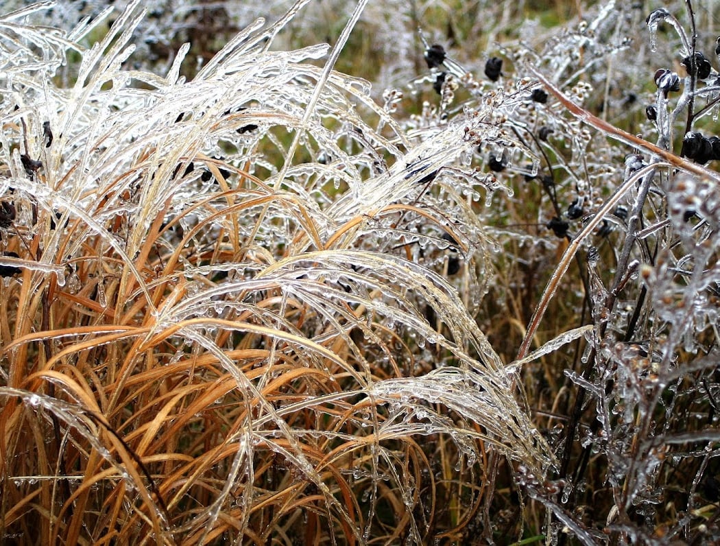 Shaw Nature Reserve 2