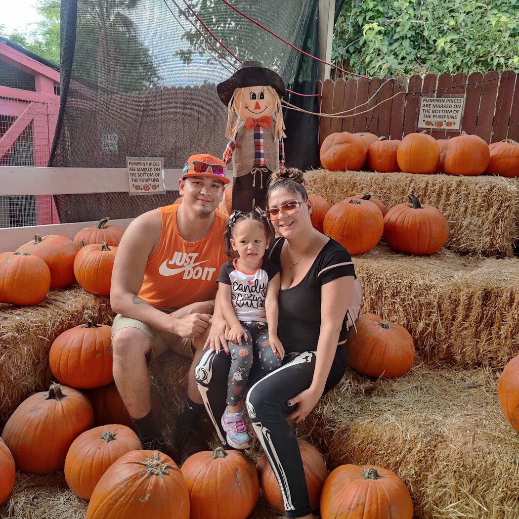 Field Of Screams