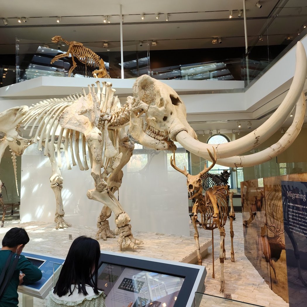 Natural History Museum of Los Angeles County 2