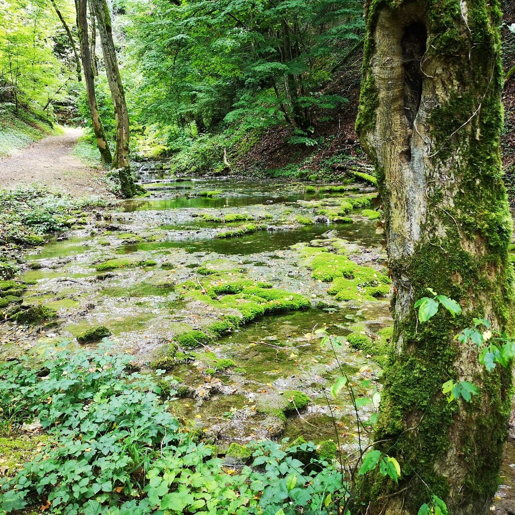Source pétrifiante et grotte du Bel Affreux 2