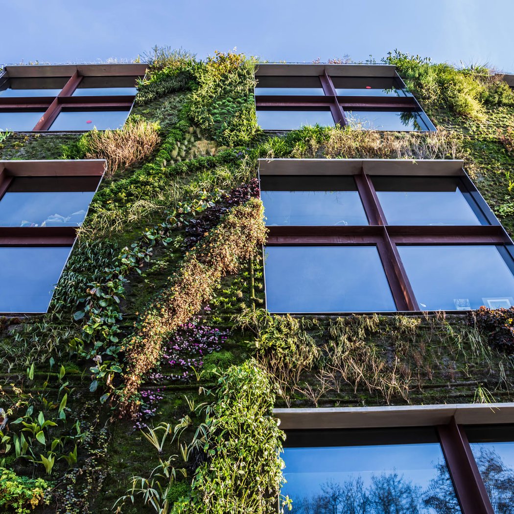 Jardin du Musée du Quai Branly - Jacques Chirac 3