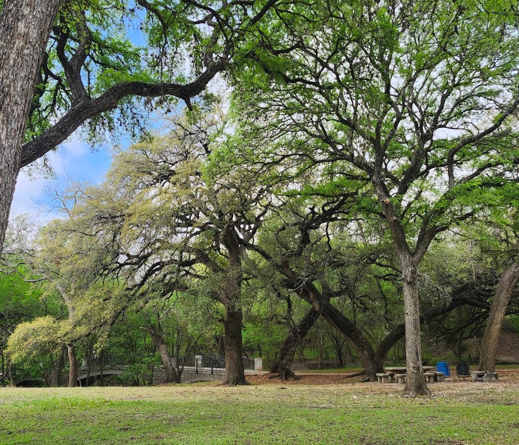 Olmos Basin Park 2