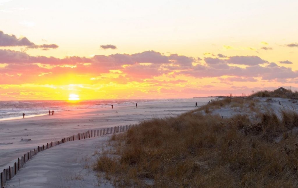 Cherry Grove 1