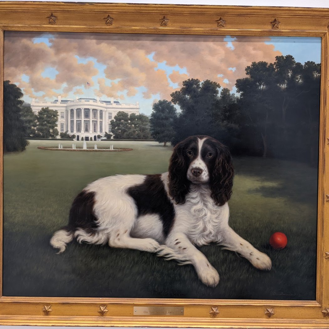 The New Yorker in Dog Years 1