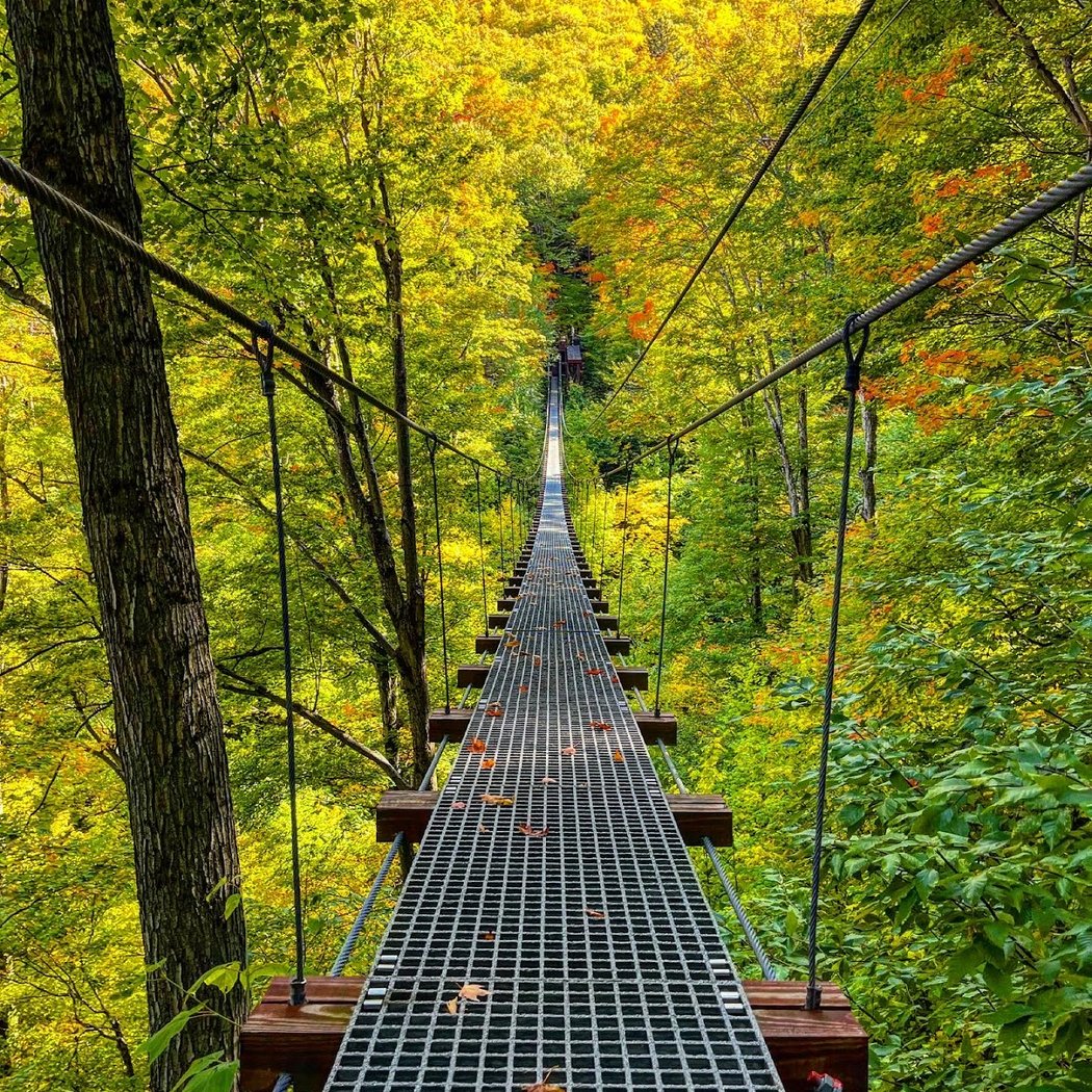 New York Zipline Adventures LLC 3