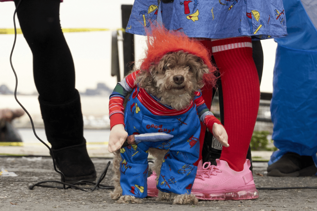 Tompkins Square Park Halloween Dog Parade 1