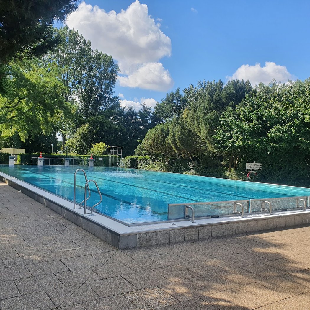 Hundeschwimmen 2