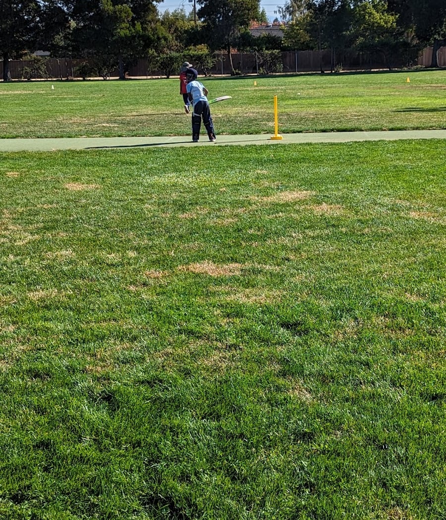 Cupertino Library Park Cricket Ground 3