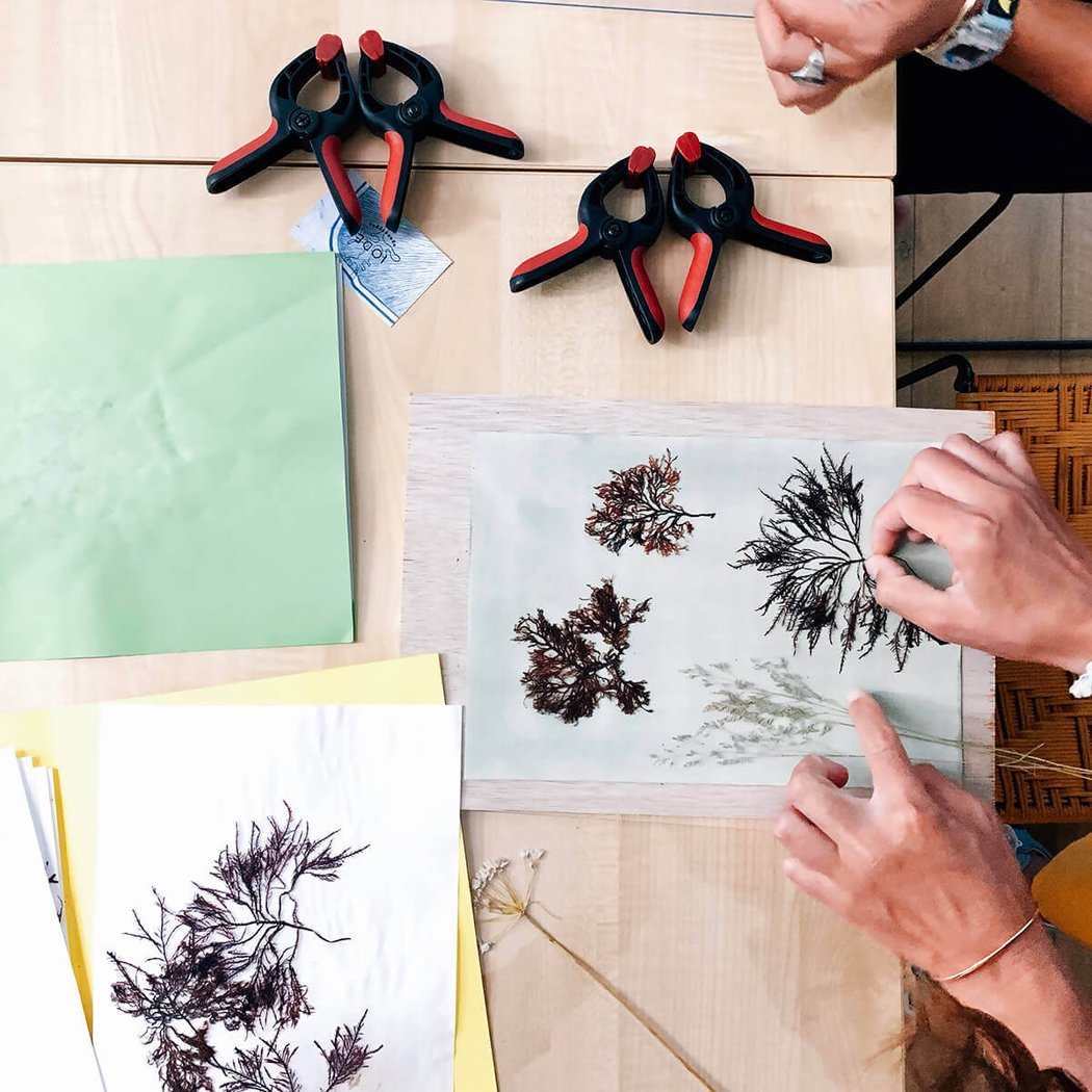 Atelier Cyanotype avec Julia 2