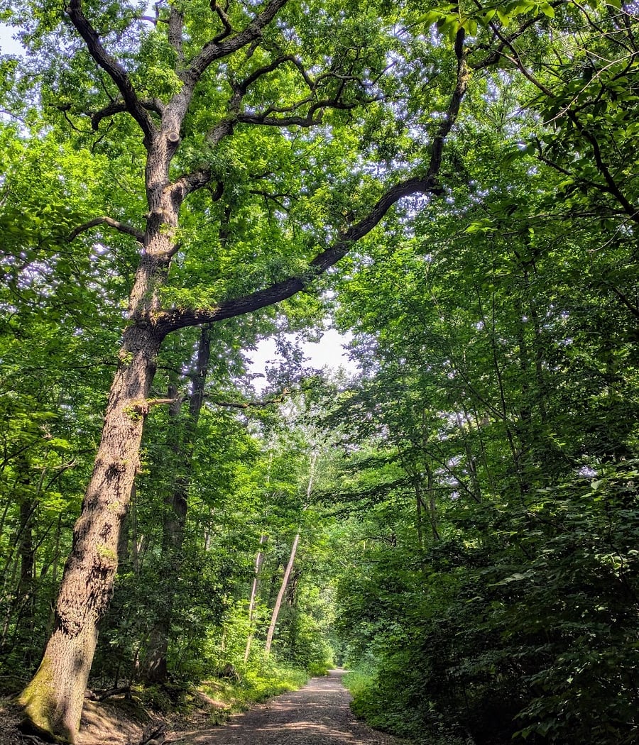 Sentier des Treize Ponts 3