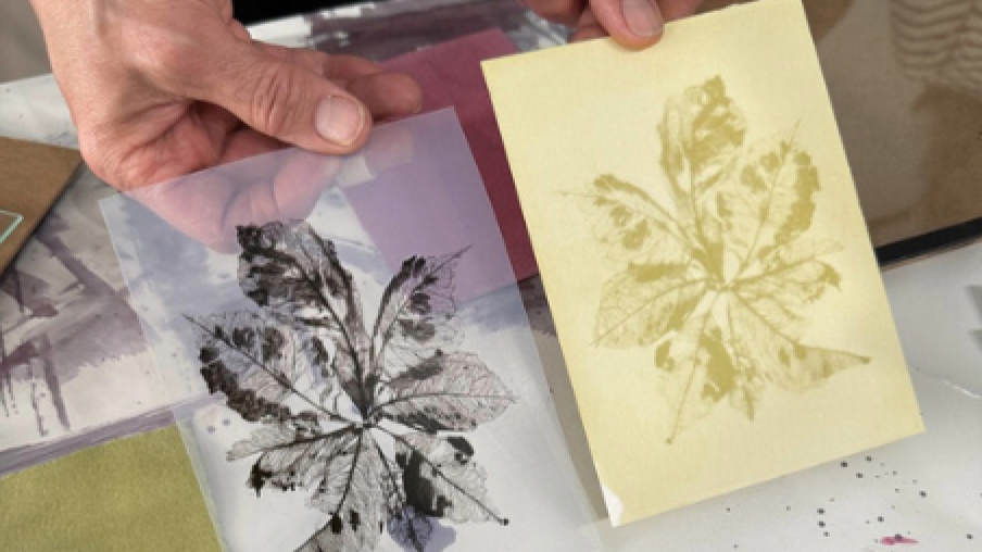 Anthotype Printing 1