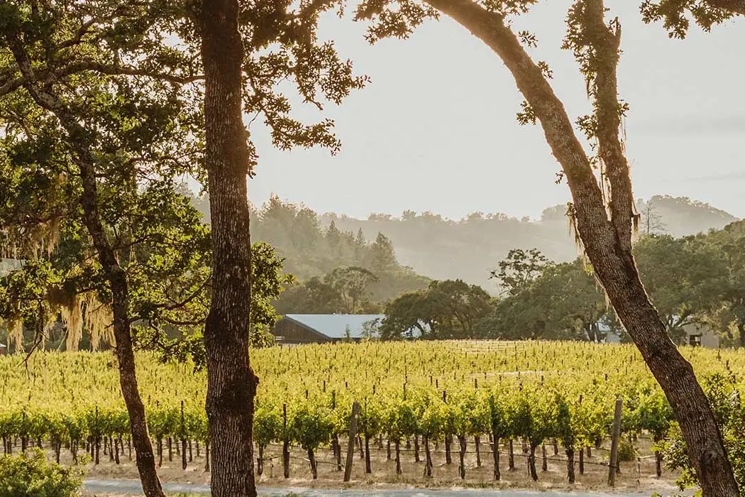 Winemaker Dinner Series 2