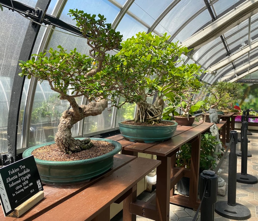 Krohn Conservatory 3