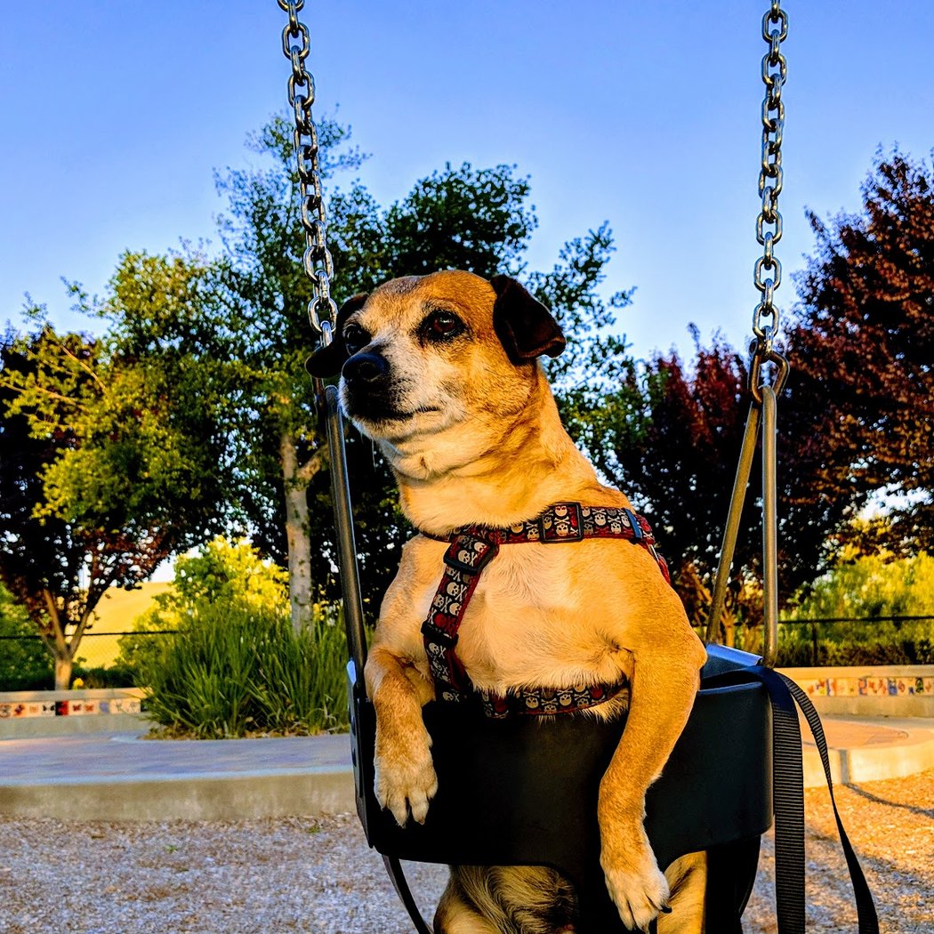 Monarch Park 1