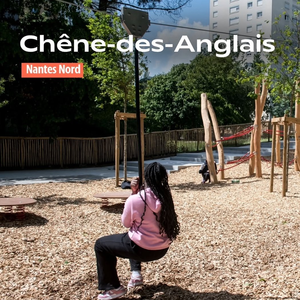 Chêne des Anglais 1
