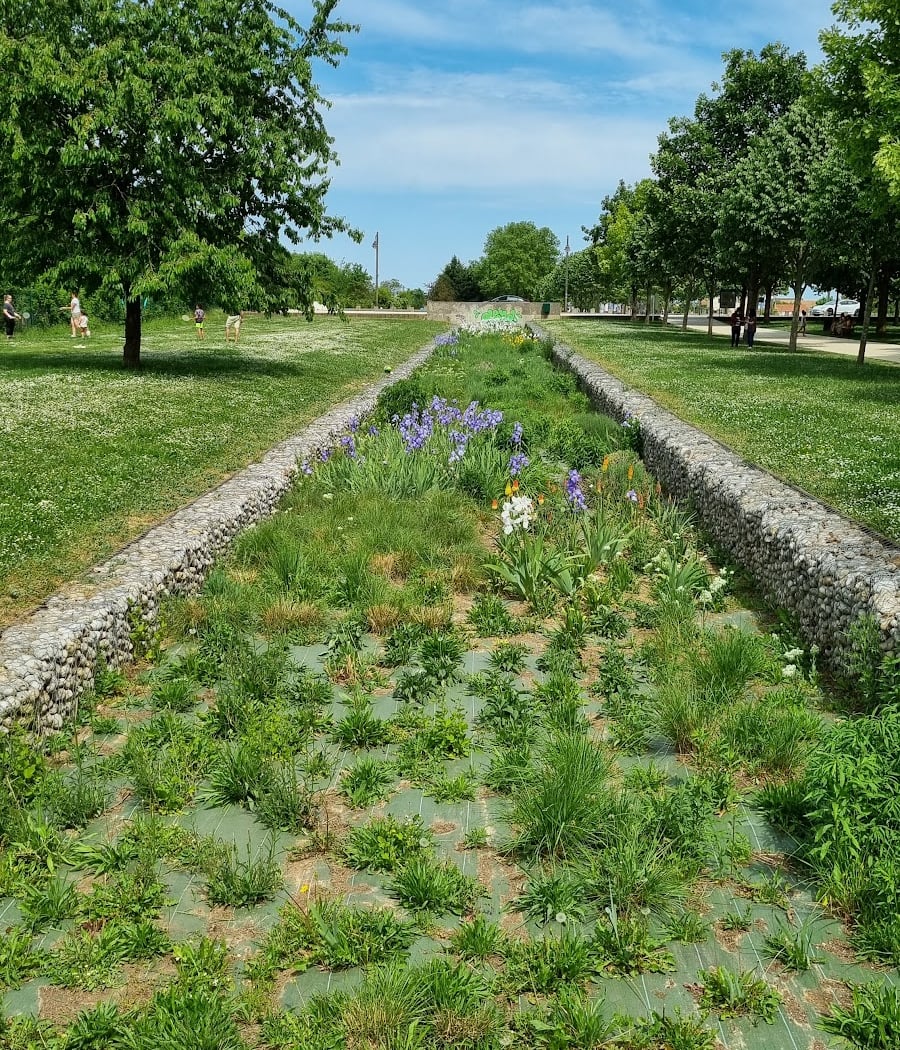 Journées thématiques au parc départemental du Lilas 2