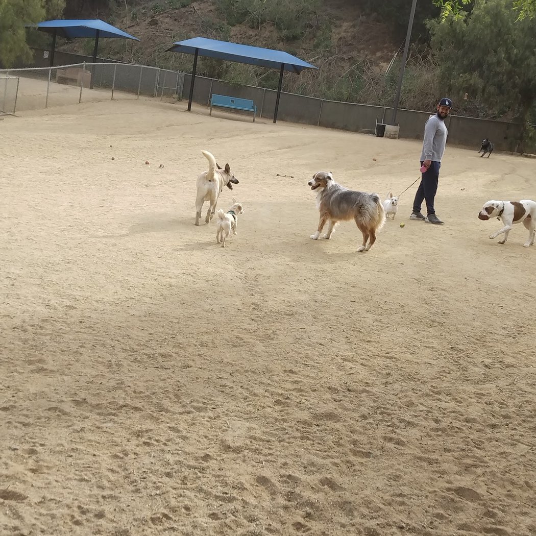 Boneyard Dog Park 3