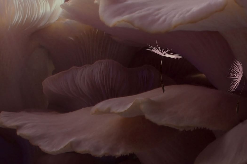 Planètes au Cinéma 2