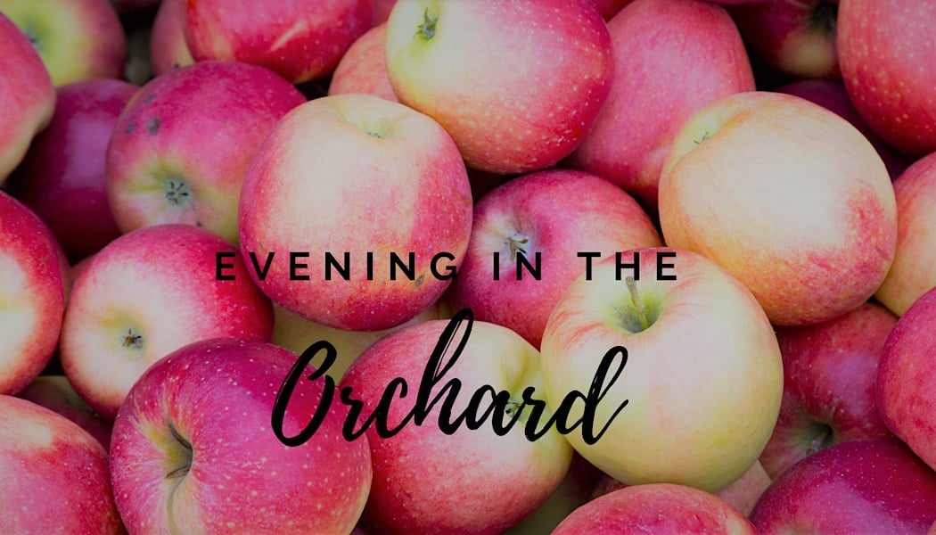 Evening in the Orchard 1