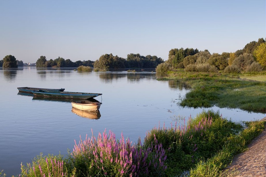 île Héron 1