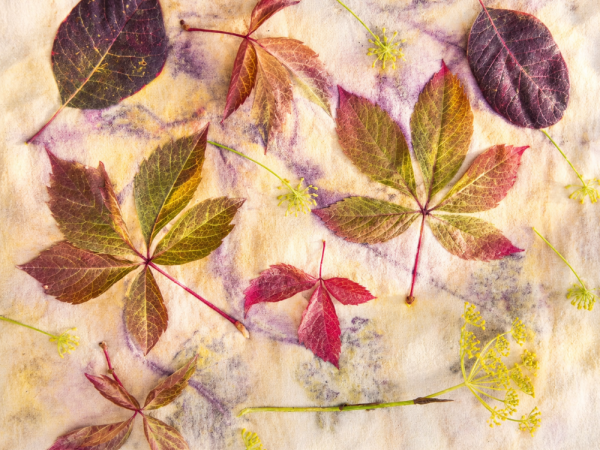 Atelier éco-print "Empreintes de la forêt"
