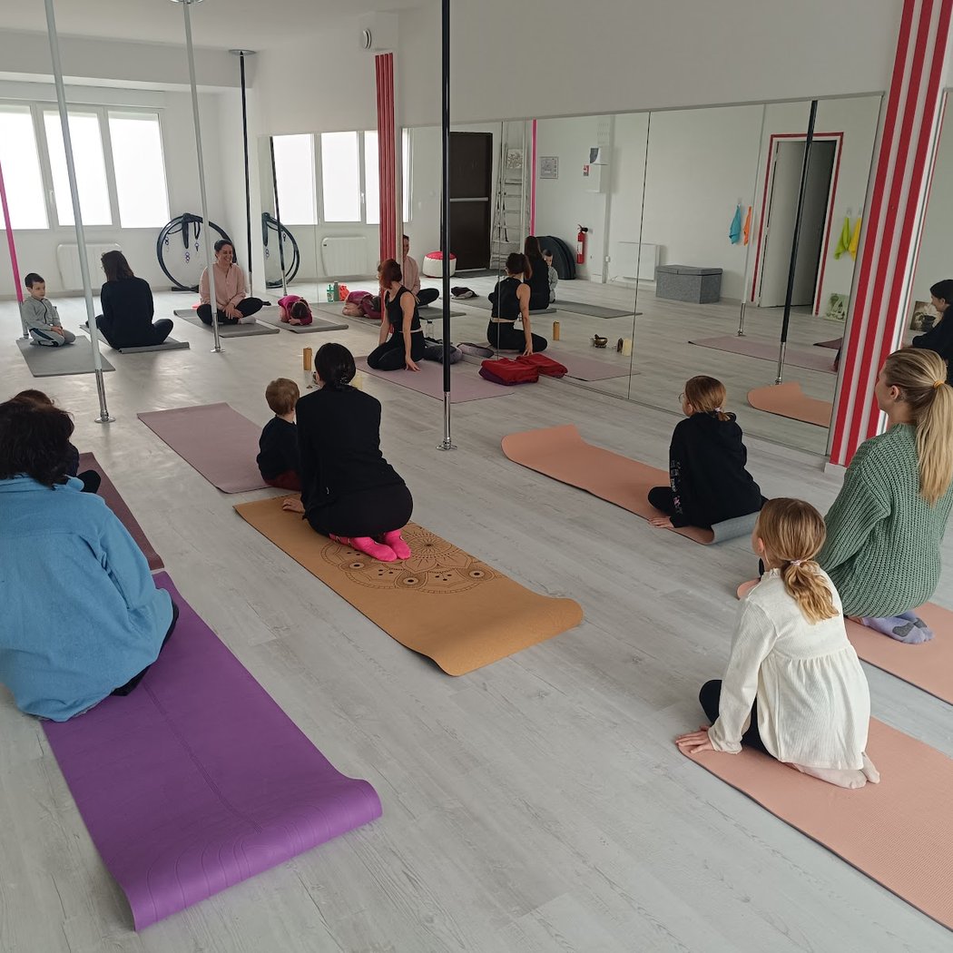 Pole Fitness Zen 2