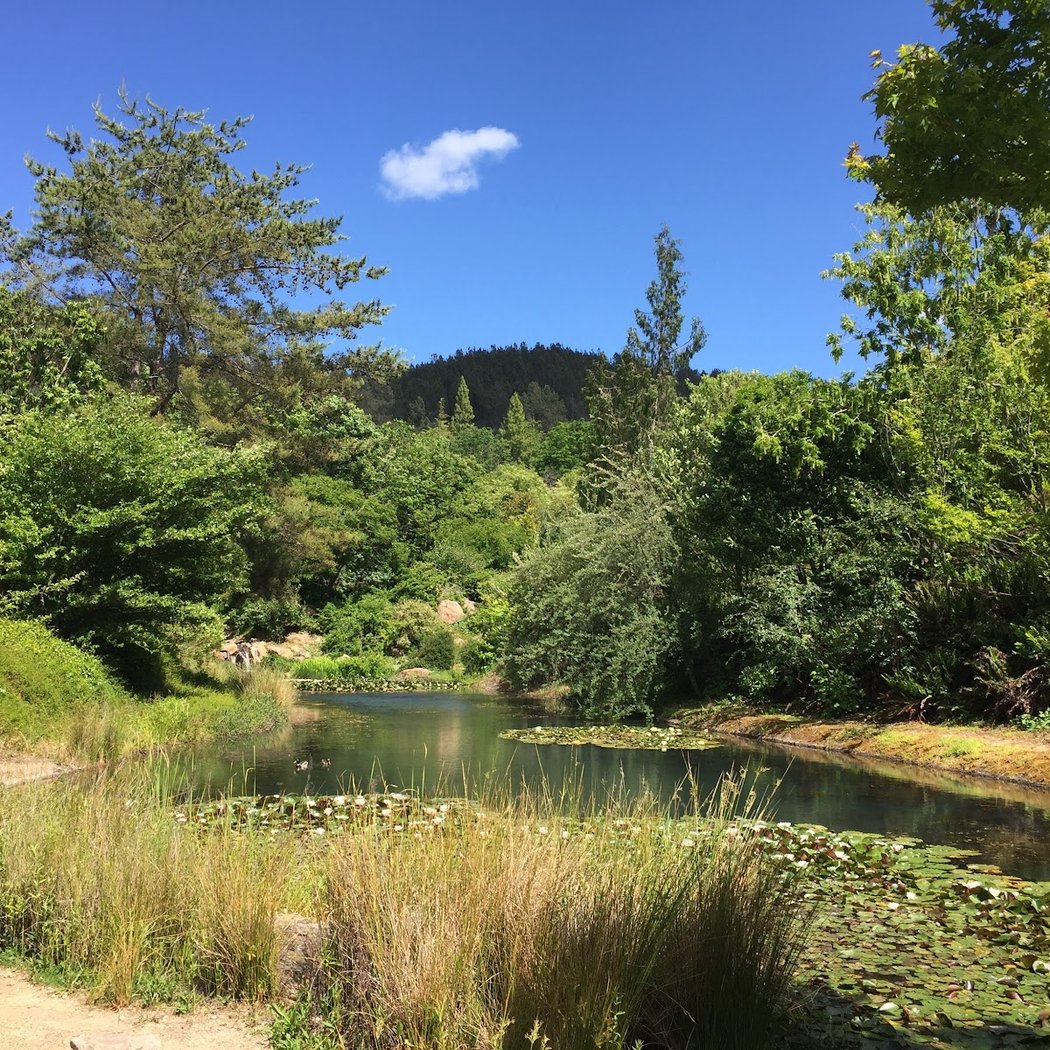 Sonoma Botanical Garden 3
