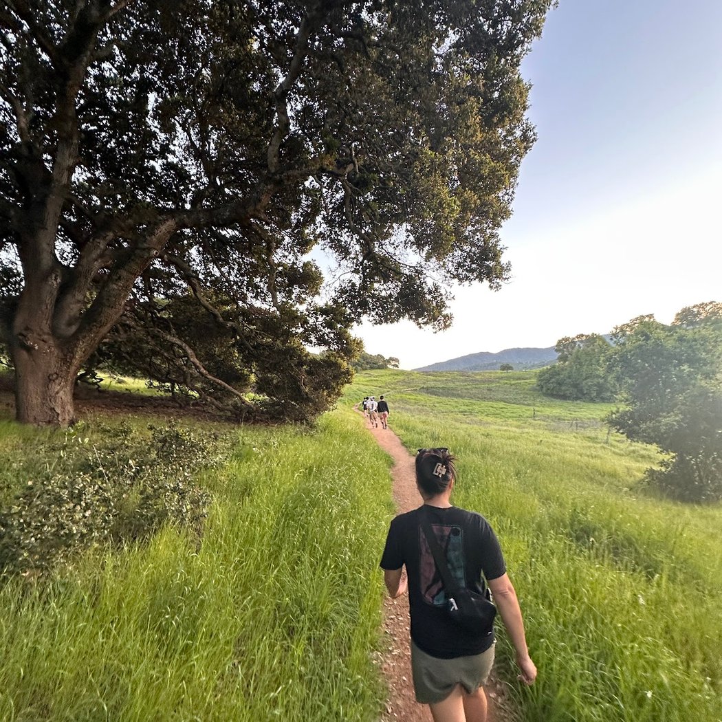 Deer Island Preserve 1