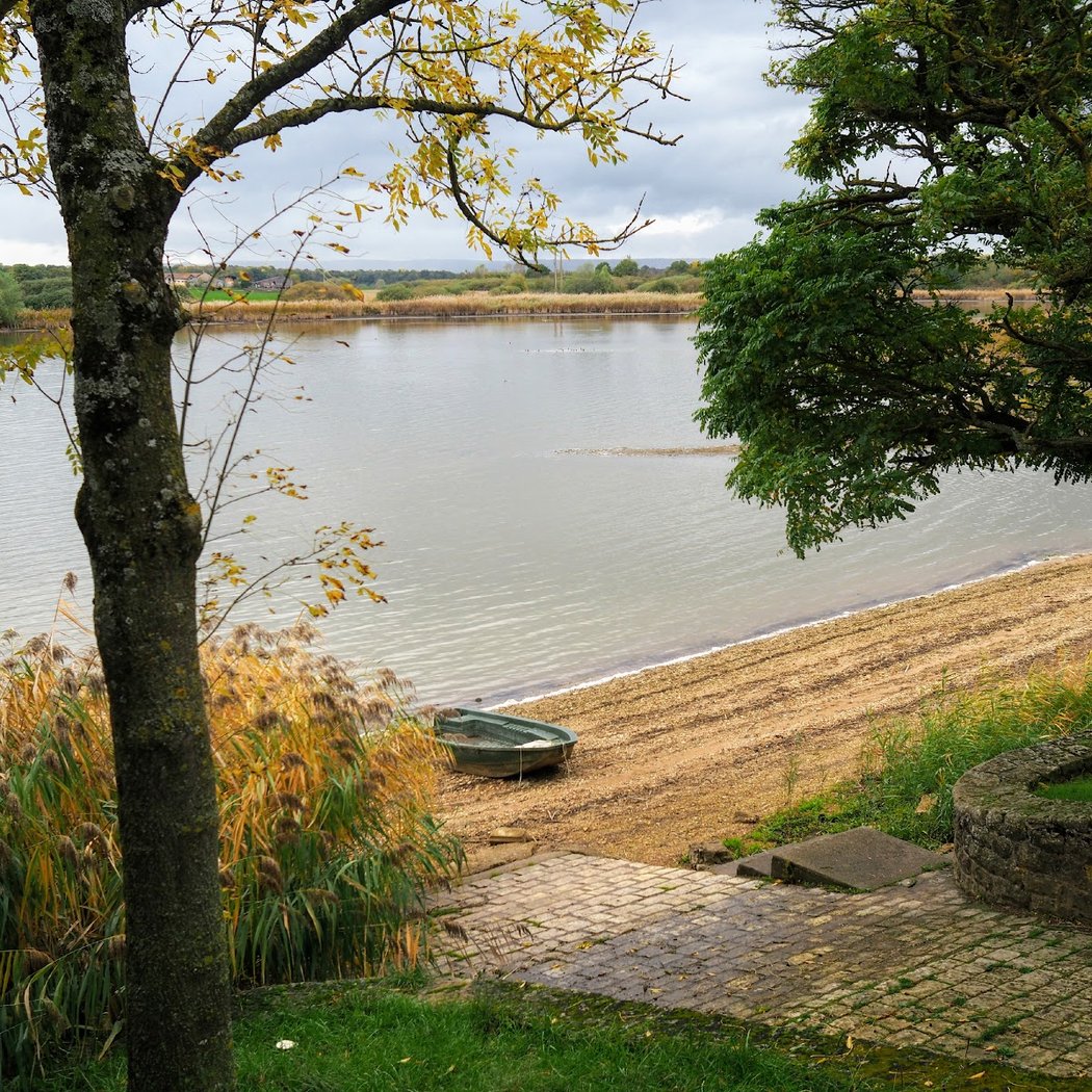 Étang de Lachaussée 3